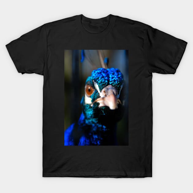 You Looking At Me? T-Shirt by axp7884